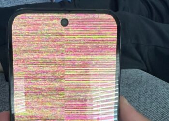 مشکلات نمایشگر در پیکسل ۱۰ پرو؛ شکایات کاربران تنها چند روز پس از عرضه