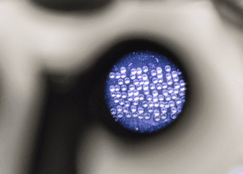 ساخت دستگاه تصویربرداری مینیاتوری برای مشاهده لحظه ای فعالیت های مغزی