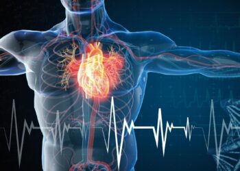 کشف نقش عفونت در حمله قلبی!