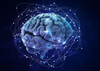 کشف زمانبندی دقیق پردازش اطلاعات در مغز