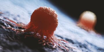 کشف رژیم غذایی جدیدی که می تواند رشد تومورهای مغزی کشنده را کاهش دهد