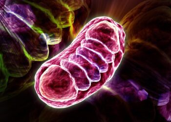 علت گسترش سرطان سینه به ریه کشف شد