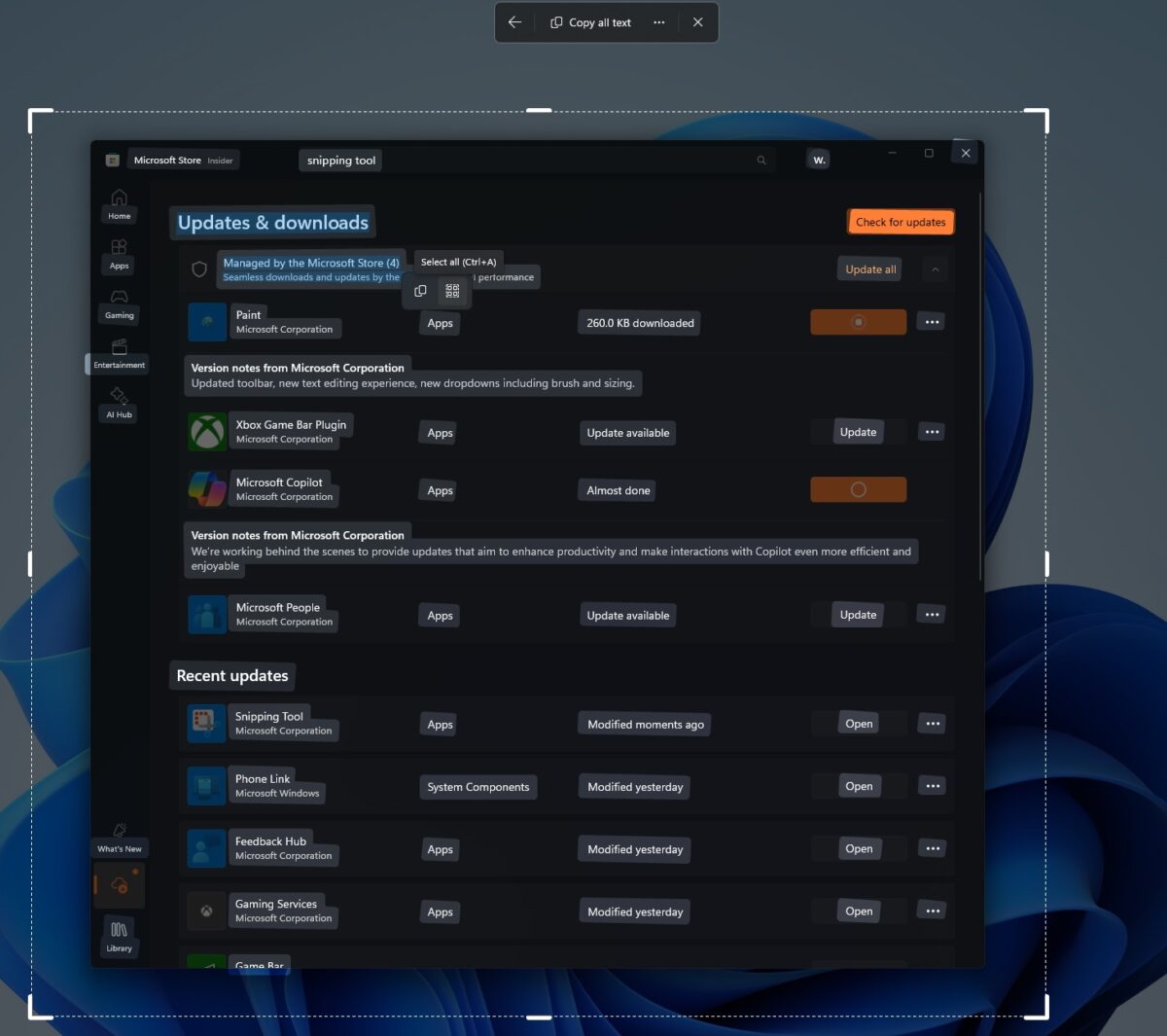 Windows 11 AI feature lets you copy texts from screen