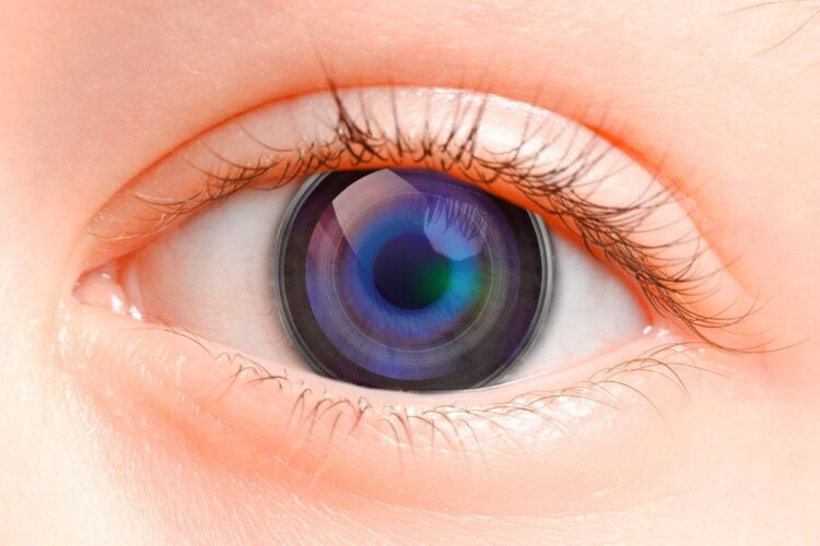 نمایشگر نانو با بالاترین وضوح قابل تشخیص برای چشم انسان