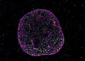 کشف «کد هندسی» پنهان در DNA؛ راز حافظه و عملکرد سلولها فاش شد