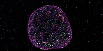 کشف «کد هندسی» پنهان در DNA؛ راز حافظه و عملکرد سلولها فاش شد