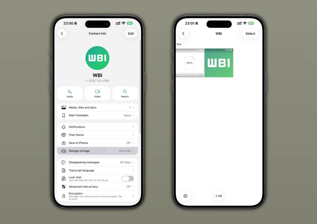 Whatsapp_MANAGE_STORAGE
