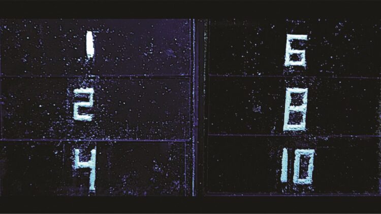 ساخت ماده درخشان نمایشگرهای دیجیتال از پسماند چوب