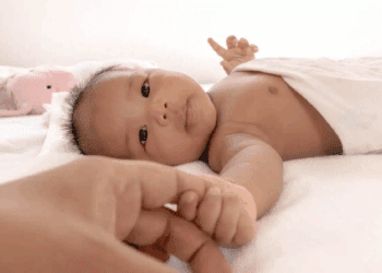 آیا مغز انسان از ابتدا برنامه‌ریزی شده است؟