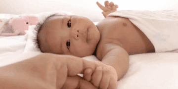 آیا مغز انسان از ابتدا برنامه‌ریزی شده است؟