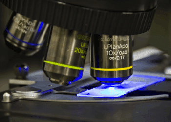 میکروسکوپ دونوره حرکات میکرو و نانو را همزمان ثبت می کند