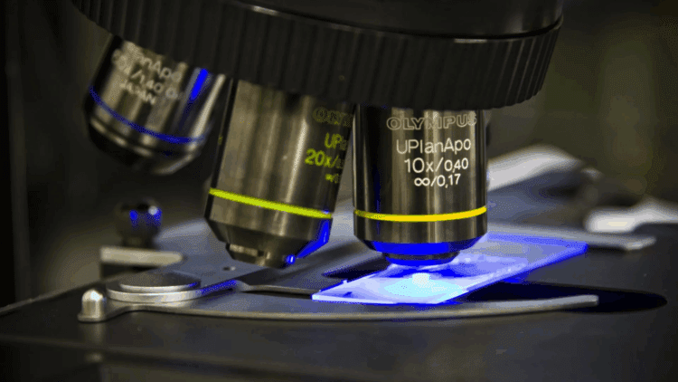 میکروسکوپ دونوره حرکات میکرو و نانو را همزمان ثبت می کند