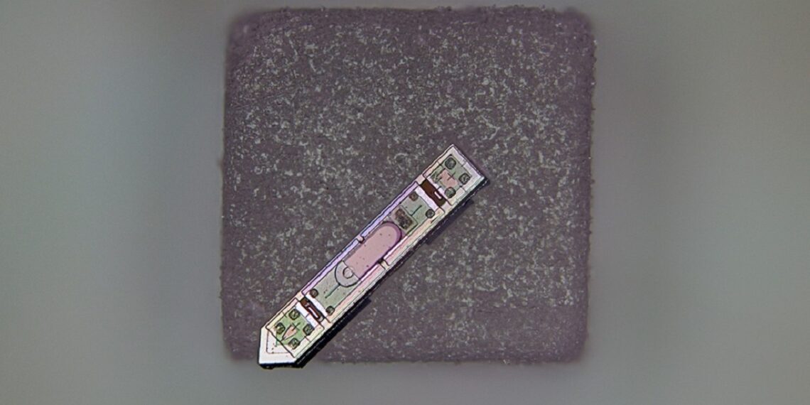 ثبت فعالیت مغز به مدت یک سال با ایمپلنت عصبی کوچکتر از دانه نمک