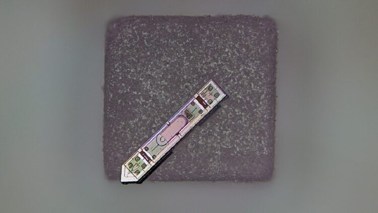 ثبت فعالیت مغز به مدت یک سال با ایمپلنت عصبی کوچکتر از دانه نمک