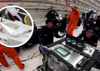 دانشمندان در شرایط بیوزنی، بافت عضله را به صورت سهبعدی چاپ می کنند