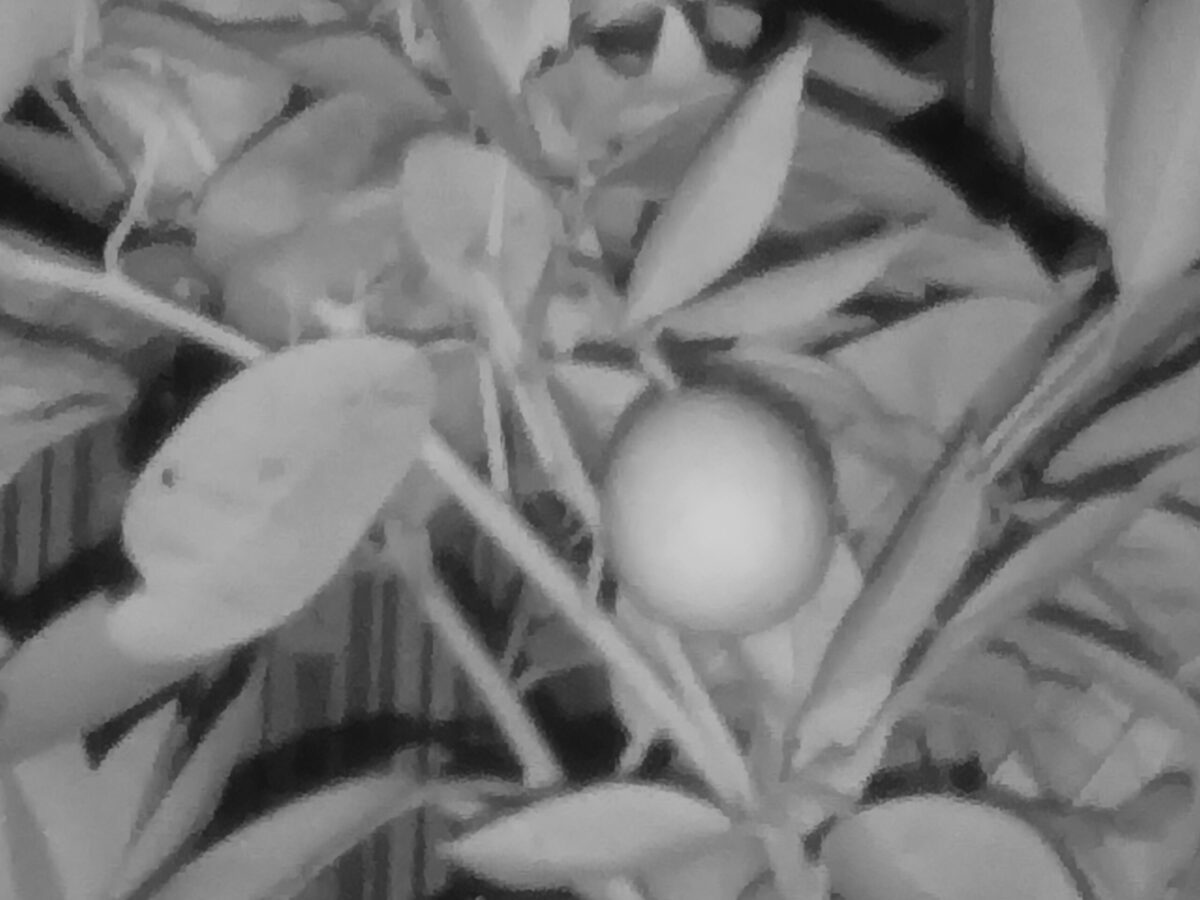 عکاسی دوربین دید در شب گوشی Oukitel WP60 در تاریکی مطلق 