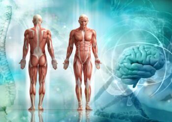 ارتباط مسیر سیگنال‌دهی Hippo با تکامل