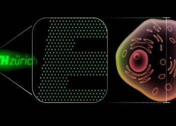 کوچک‌ترین نانو OLED جهان معرفی شد