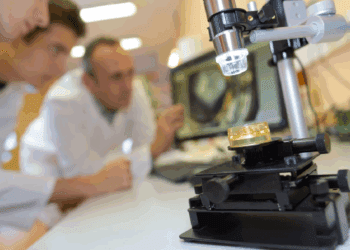 ساخت اولین بافت‌های مغز مصنوعی در آزمایشگاه