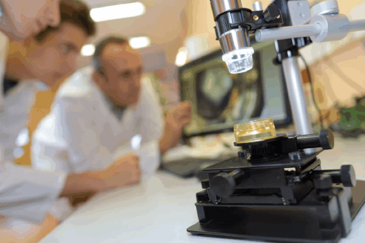 ساخت اولین بافتهای مغز مصنوعی در آزمایشگاه