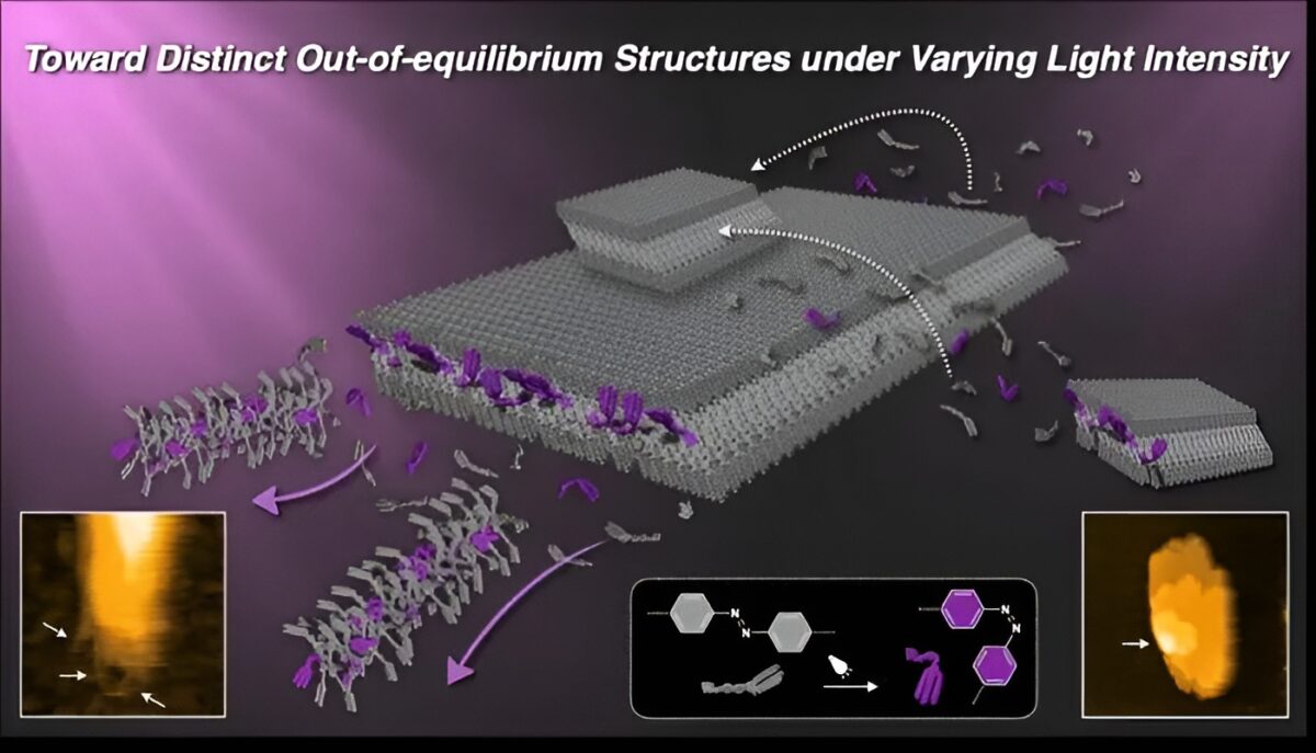 تحول در مواد هوشمند با ساختارهای فوق‌مولکولی 