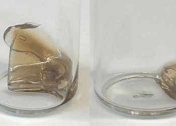 پایان آلودگی پلاستیکی با پلاستیک تجزیه شونده