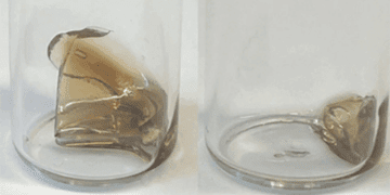 پایان آلودگی پلاستیکی با پلاستیک تجزیه شونده