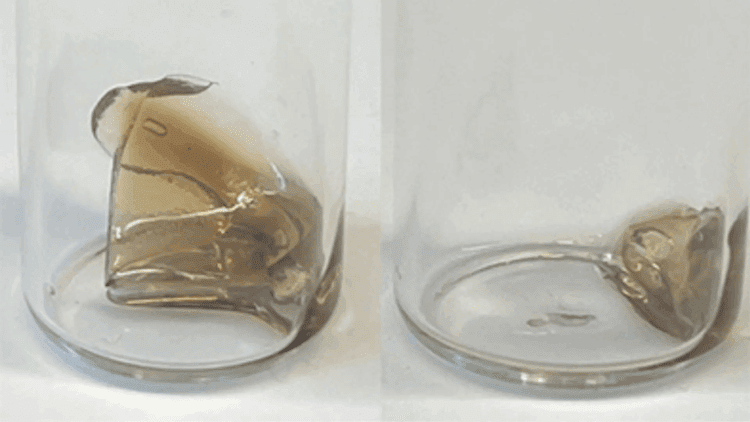 پایان آلودگی پلاستیکی با پلاستیک تجزیه شونده