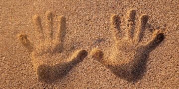 حس لمس از راه دور؛ تواناییهای مرموزی که بین انسان و پرندگان مشترک است!