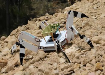 ساخت ربات عنکبوتی برای بازسازی جنگلها توسط نوجوانان پرتغالی