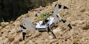 ساخت ربات عنکبوتی برای بازسازی جنگلها توسط نوجوانان پرتغالی