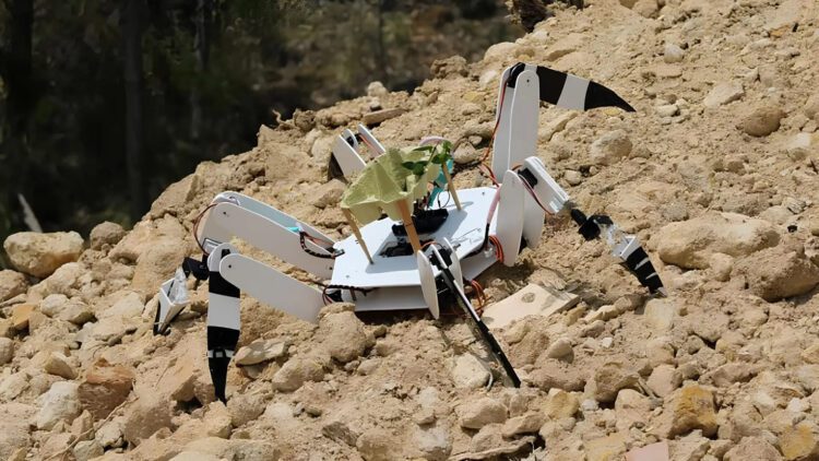 ساخت ربات عنکبوتی برای بازسازی جنگلها توسط نوجوانان پرتغالی