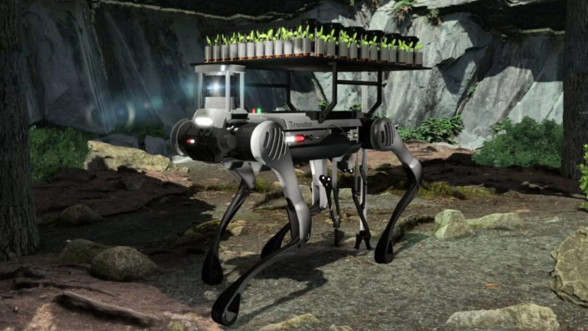 نوجوانان پرتغالی یک ربات عنکبوتی برای بازسازی جنگلها ساختند