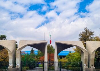 ۴۴ دانشگاه برتر ایران در۶ رشته موضوعی معرفی شدند