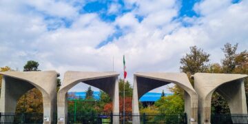 ۴۴ دانشگاه برتر ایران در۶ رشته موضوعی معرفی شدند