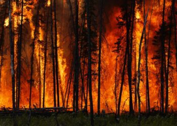 سال ۲۰۲۵ جزو گرمترین سالهای تاریخ جهان خواهد بود