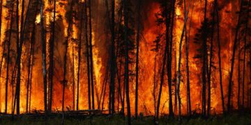 سال ۲۰۲۵ جزو گرمترین سالهای تاریخ جهان خواهد بود