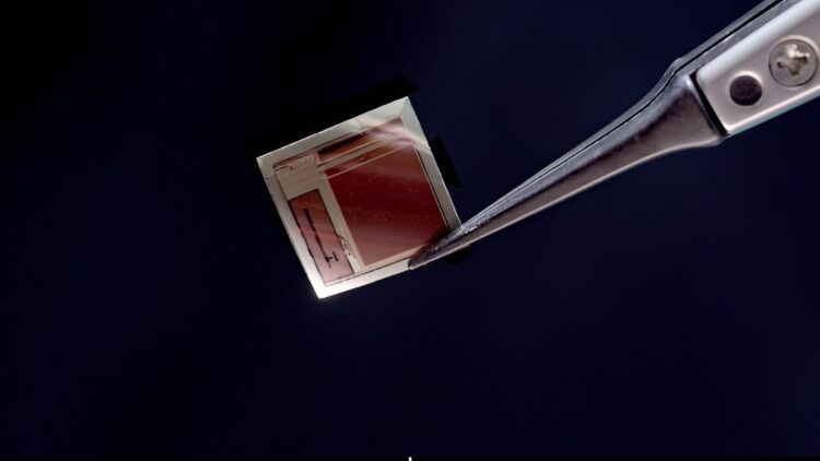 ساخت تراشه ایمپلنت مغزی به ضخامت کاغذ با ۶۵ هزار الکترود