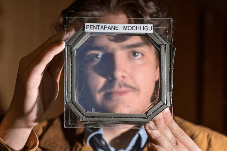 تحول در بهره‌وری انرژی ساختمان‌ها با یک عایق جدید برای پنجره‌ها