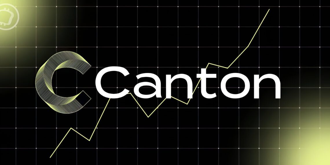 صعود کانتون (CC) به جمع ۳۰ رمزارز برتر؛ چرا کانتون این روزها ترند شده است؟