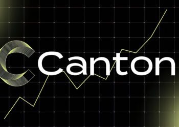 صعود کانتون (CC) به جمع ۳۰ رمزارز برتر؛ چرا کانتون این روزها ترند شده است؟