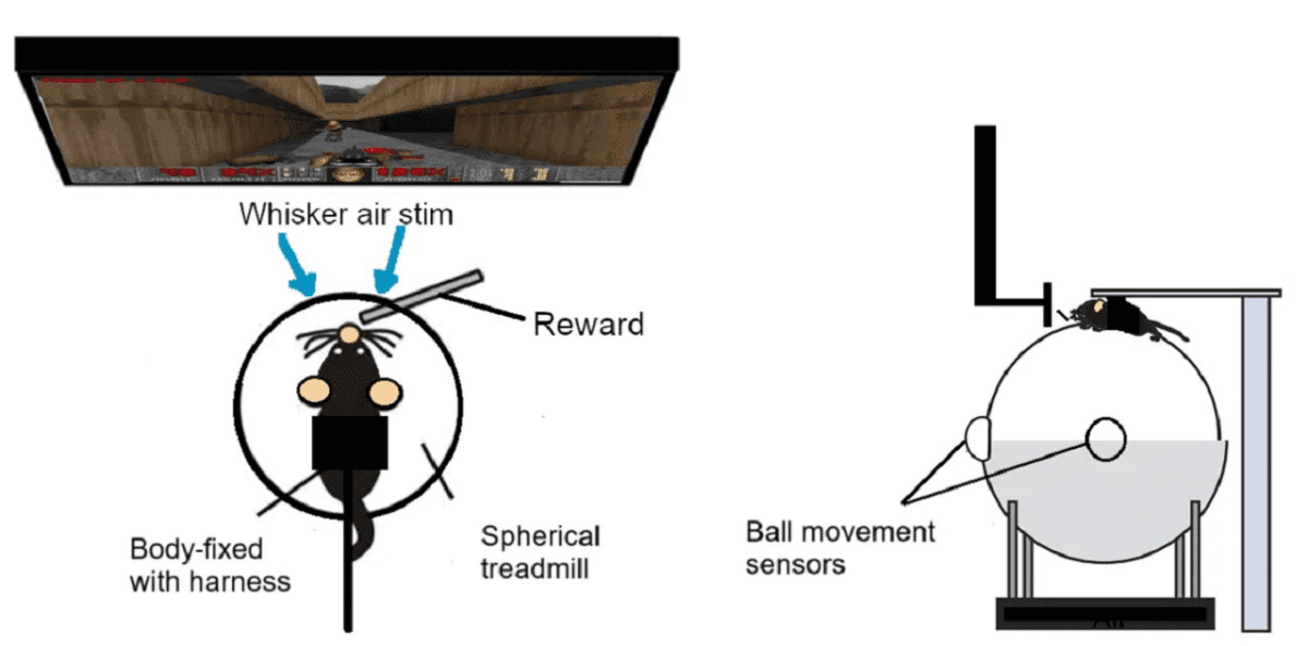 بازگشت موشهای گیمر با بهروزرسانی جدید