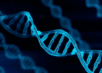 ترمیم DNA