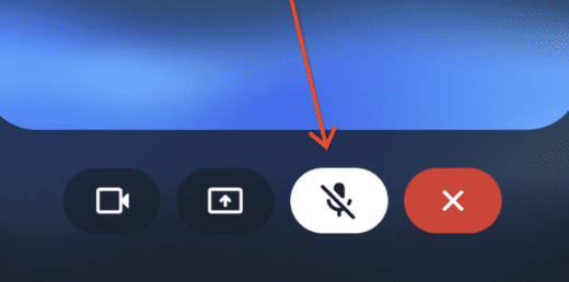 نمایی نزدیک از دکمه قطع میکروفون در رابط کاربری که با یک فلش قرمز مشخص شده است.