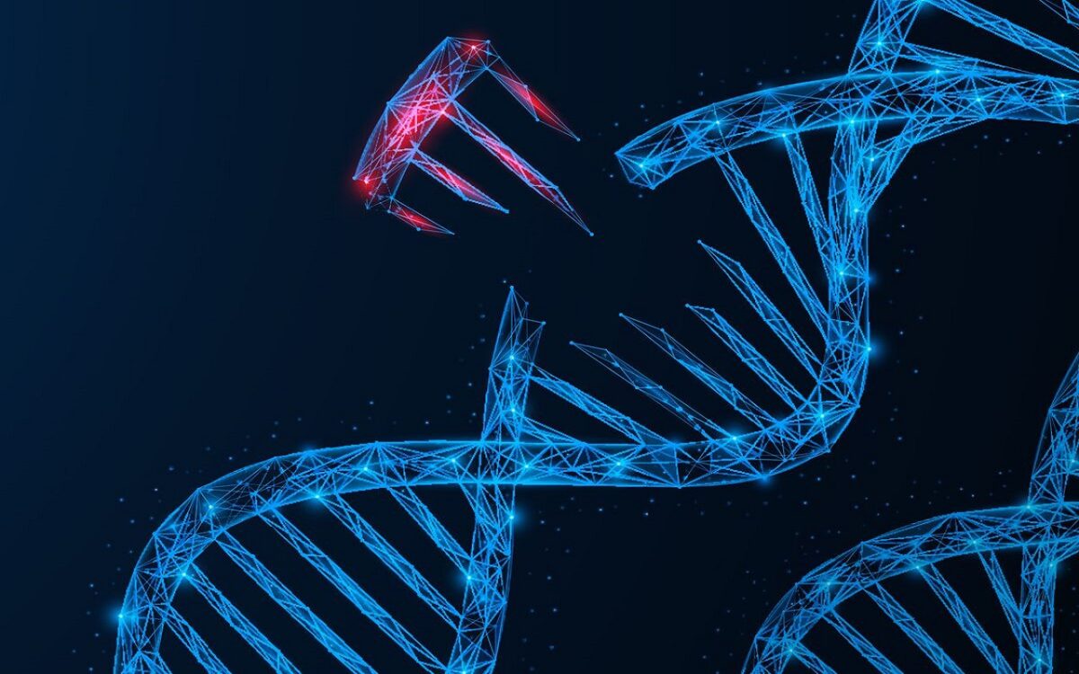 حسگرهای نورانی برای ردیابی آنی شکست DNA و مشاهده فرایند ترمیم ساخته شدند