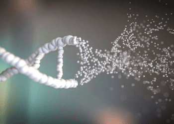 ساخت حسگرهای نورانی برای ردیابی شکست DNA و مشاهده فرایند ترمیم