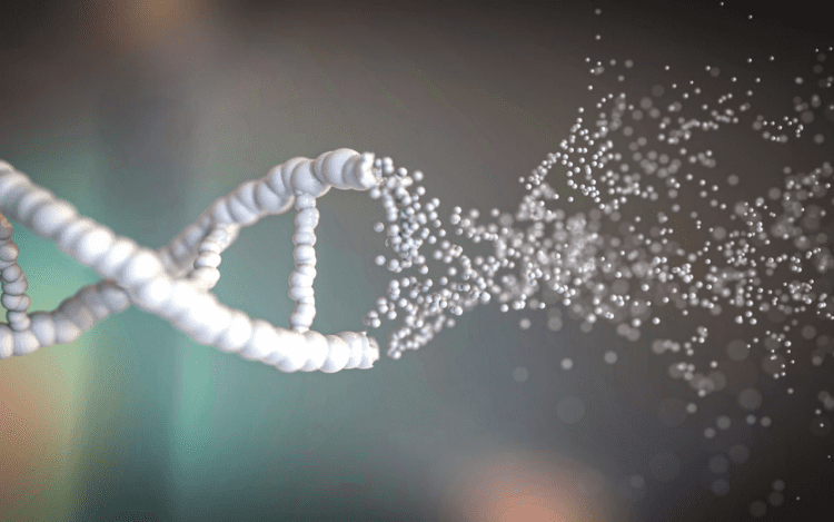 ساخت حسگرهای نورانی برای ردیابی شکست DNA و مشاهده فرایند ترمیم