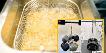 تبدیل روغن سوخته پختوپز به پلاستیکهای قابل بازیافت با استحکام خارقالعاده