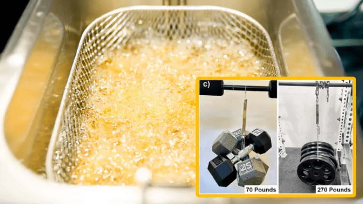 تبدیل روغن سوخته پختوپز به پلاستیکهای قابل بازیافت با استحکام خارقالعاده