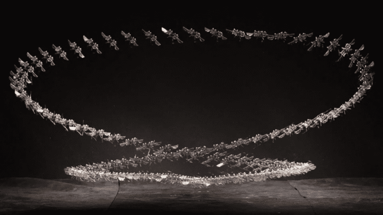 حشره رباتیک